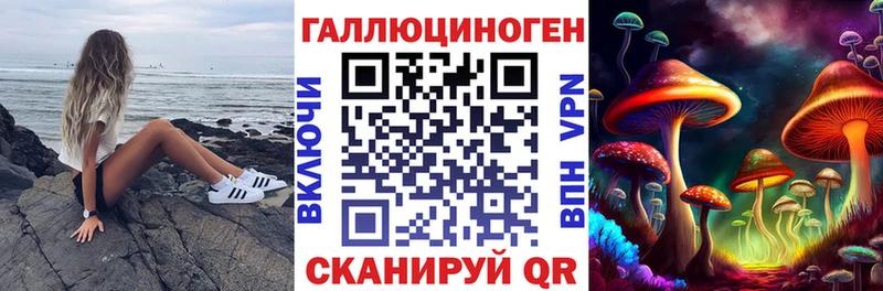Галлюциногенные грибы Cubensis  закладка  Соль-Илецк 